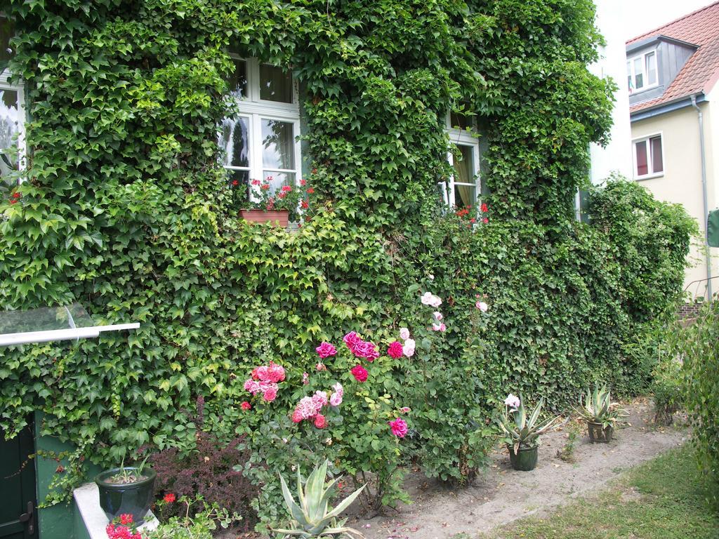 3 Sterne Hotel Frankfurt-Oder Zur Alten Oder Frankfurt  Luaran gambar