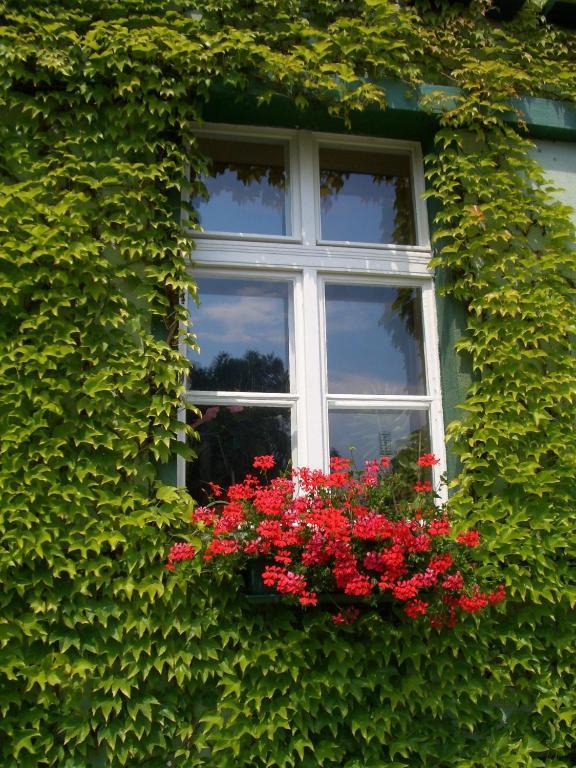 3 Sterne Hotel Frankfurt-Oder Zur Alten Oder Frankfurt  Luaran gambar